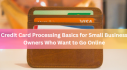 Credit Card Processing Basics for Small Business Owners Who Want to Go Online